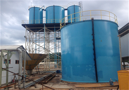 Exportateur d’une ligne de production d’huile de palme de 50 tonnes/h au Burkina Faso