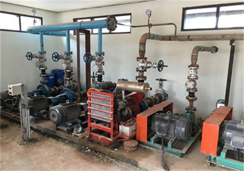 Ligne de production automatique d’huile de soja Niger 50tpd